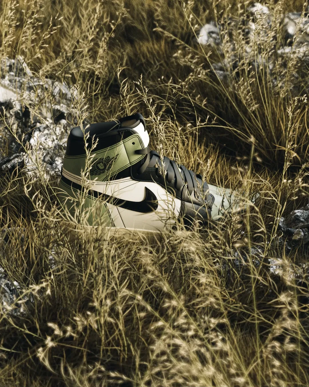 d aj1 field
