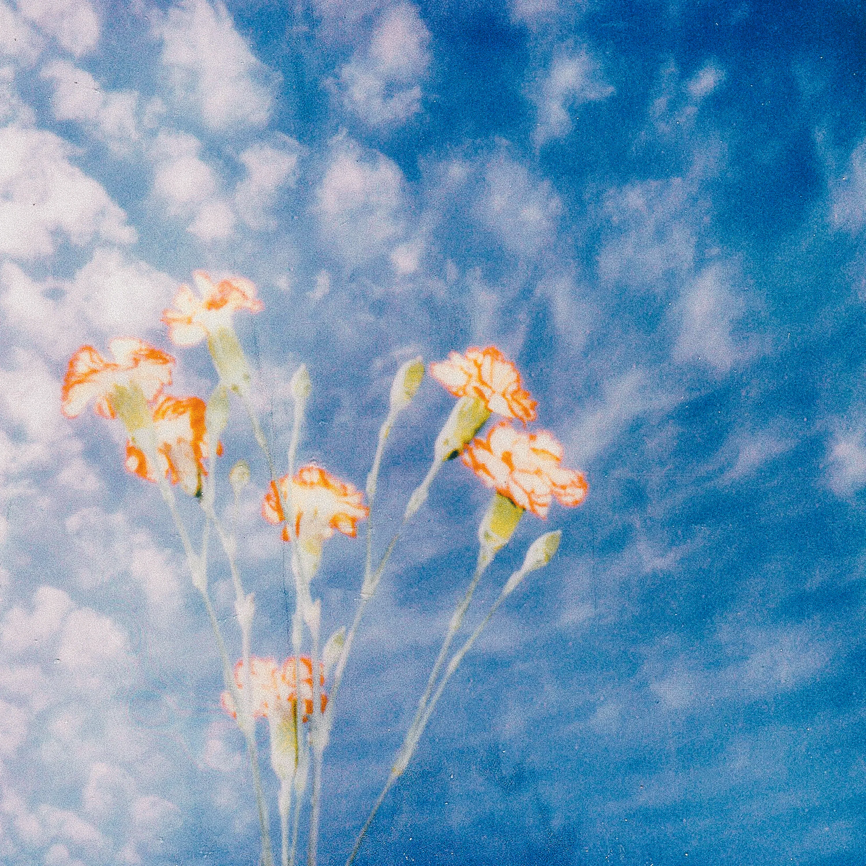 dealer artwork arc 3